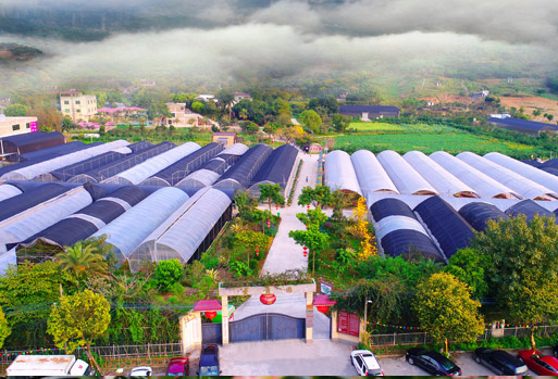 Aerial view of the Shengyin production base in Hengli Town, Dongguan