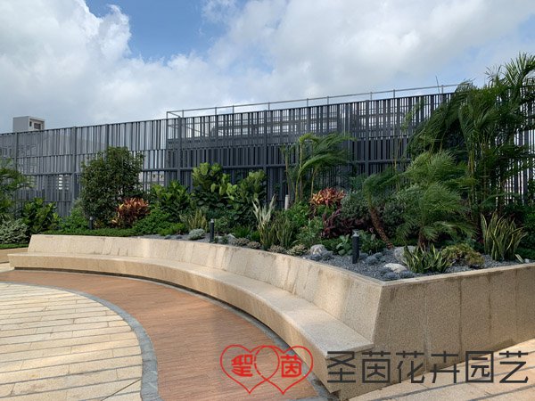 A Shengyin rooftop garden